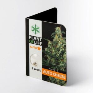 Auto Cheese