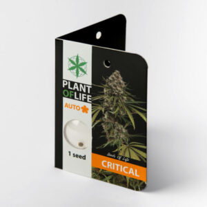 Critical Auto
